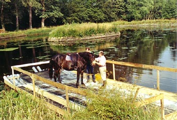 cliquez pour agrandir la photo