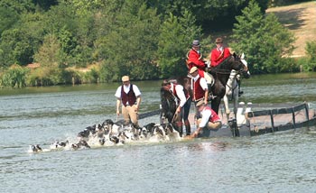 cliquez pour agrandir la photo