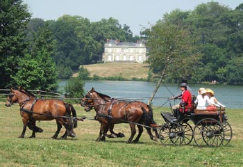 cliquez pour agrandir la photo