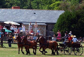 cliquez pour agrandir la photo