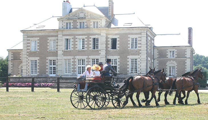 cliquez pour agrandir la photo