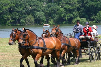 cliquez pour agrandir la photo