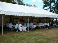 cliquez pour agrandir la photo