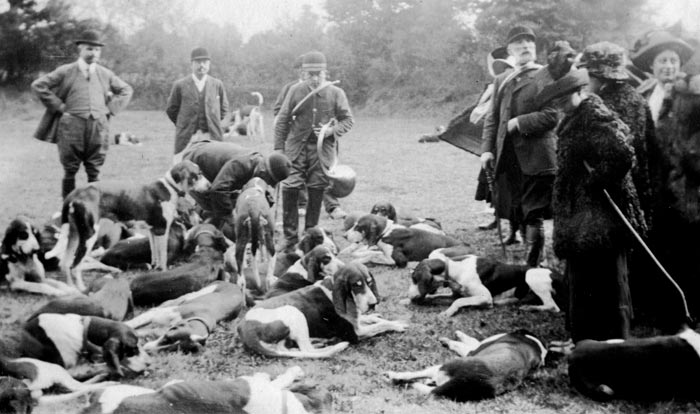 cliquez sur l'image pour l'agrandir (320 k)