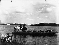 Cliquez pour agrandir la photo