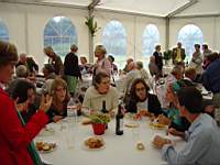 cliquez pour agrandir la photo