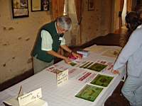 cliquez pour agrandir la photo