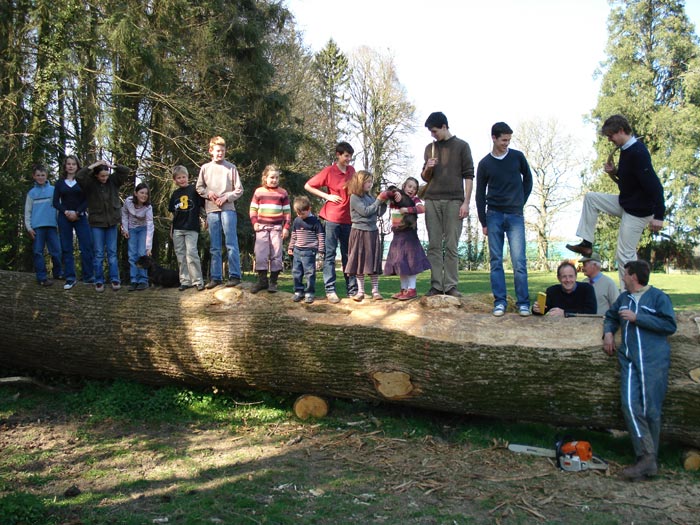 cliquez pour agrandir la photo