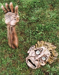 cliquez pour agrandir l'image