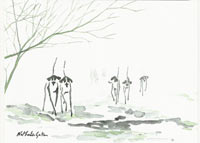 cliquez pour agrandir